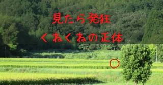 F48A921C-73DA-4CE1-ABAD-A3A62CB1AD00.jpeg